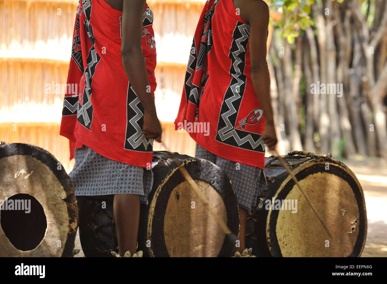 Robe traditionnelle colorée de deux musiciens qui jouent les femmes swazies de vache traditionnel batterie pendant le chant et la danse, spectacle Matsamo Swaziland Banque D'Images