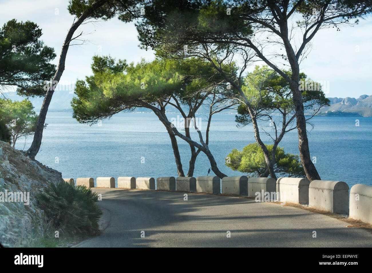 Pliez la route à travers la forêt de pins près de la mer Méditerranée, Majorque, îles Baléares, Espagne. Banque D'Images