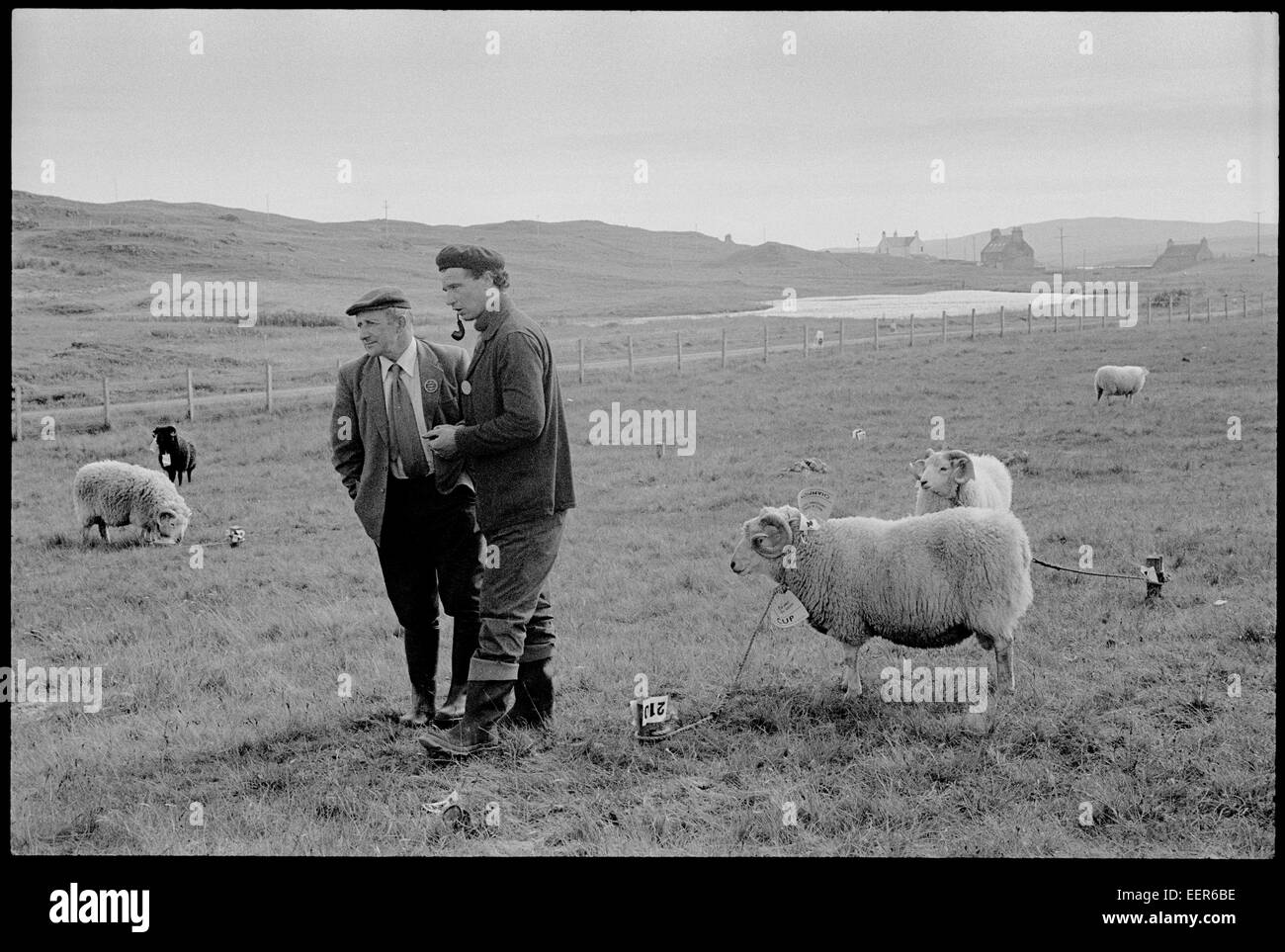 Agricutural show, Shetland. Banque D'Images