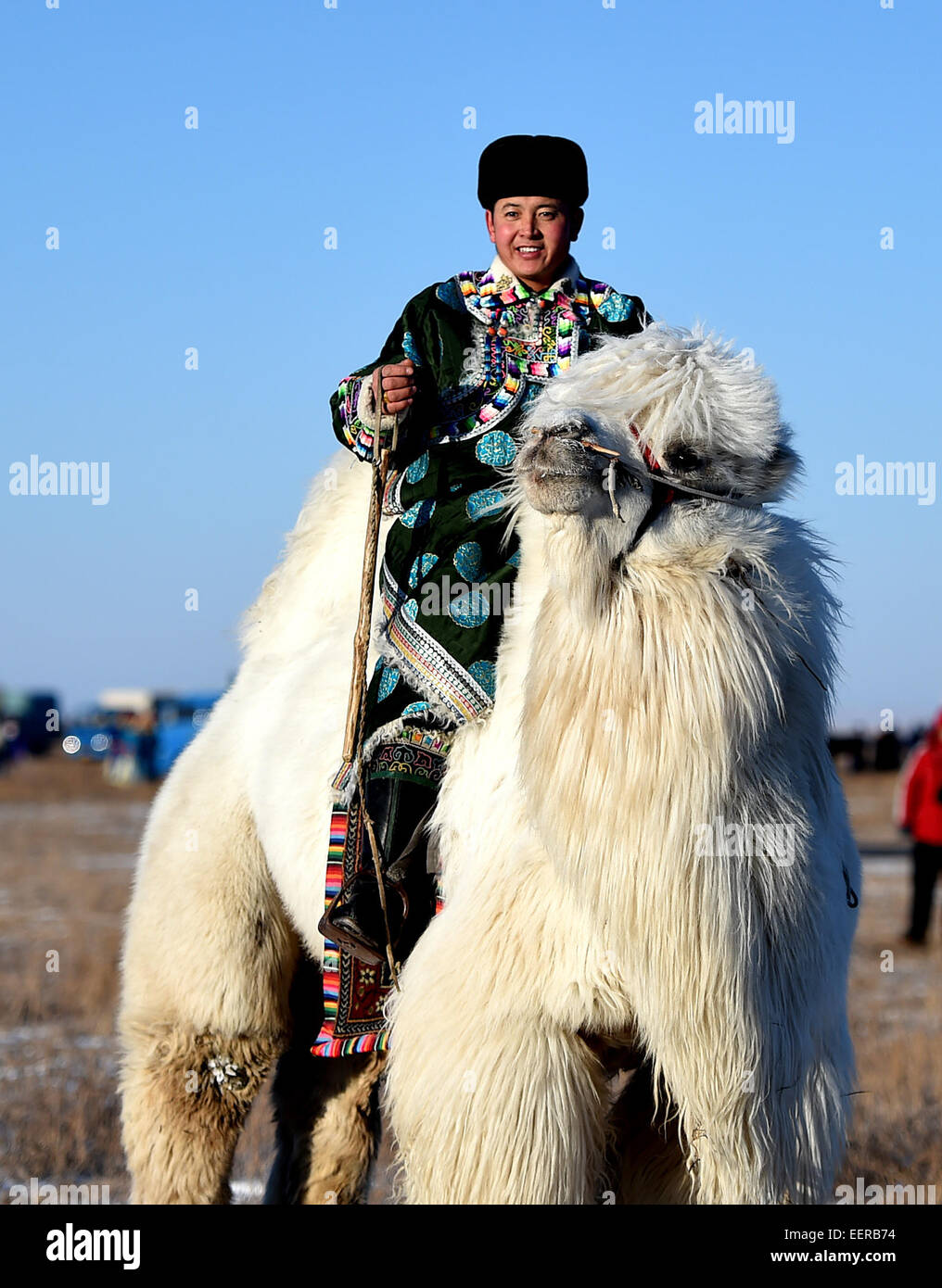 Bannière Ujimqin l'Est de la Chine, région autonome de Mongolie intérieure. 21 Jan, 2015. Un berger sur son chameau participe à un Nadam d'hiver dans l'Est de la bannière Ujimqin, Chine du nord, région autonome de Mongolie intérieure, le 21 janvier 2015. Nadam de masse est un festival mongol traditionnel où les gens célébrer les récoltes et prier pour la bonne chance. Les nomades locaux participeront à une série de manifestations sportives, telles que le tir à l'arc, courses de chevaux, les courses de chameaux et de lutte mongole. Credit : Ren Junchuan/Xinhua/Alamy Live News Banque D'Images