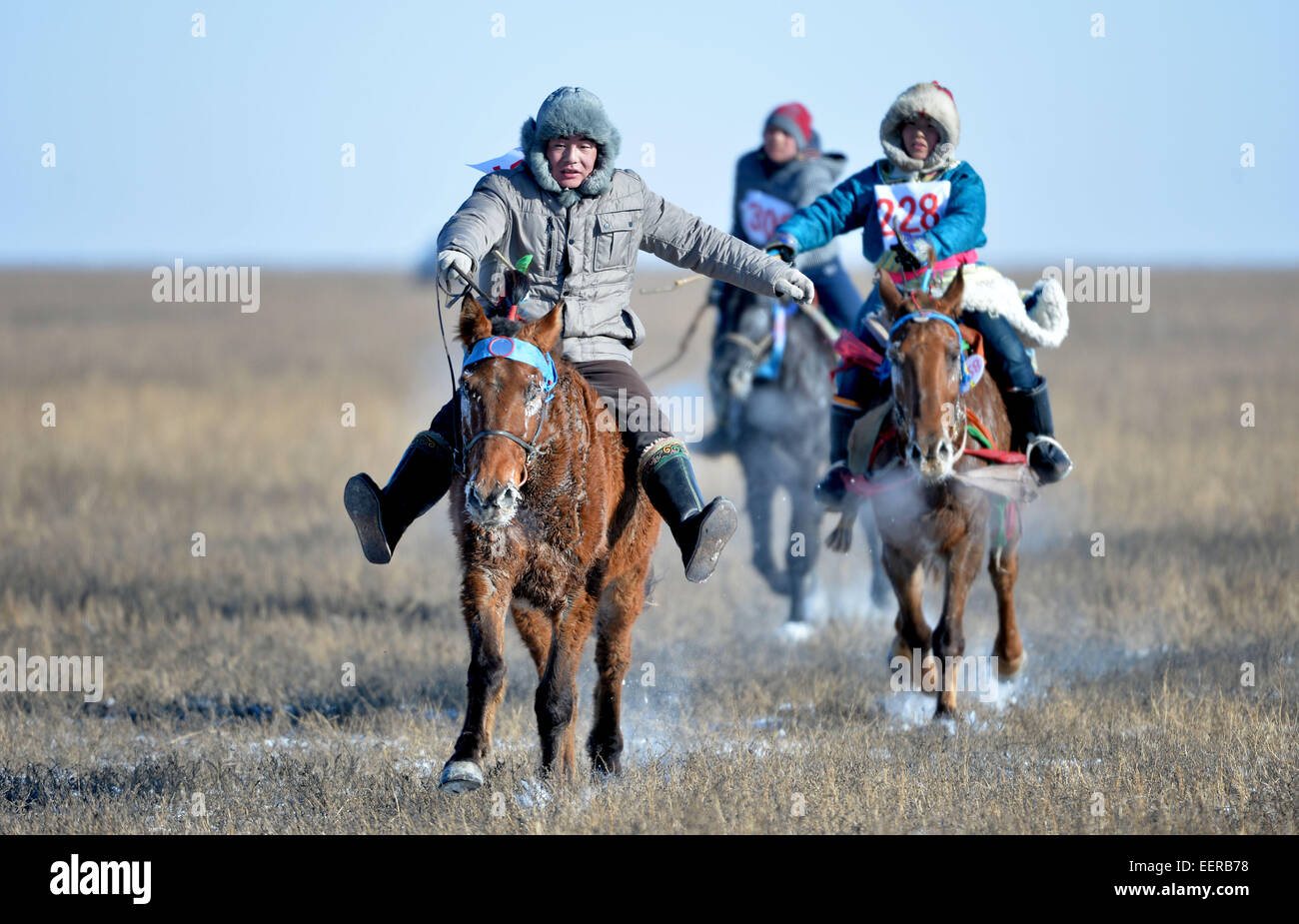Bannière Ujimqin l'Est de la Chine, région autonome de Mongolie intérieure. 21 Jan, 2015. Bergers prendre part à une course de chevaux au cours d'un hiver au Nadam Bannière Ujimqin, Chine du nord, région autonome de Mongolie intérieure, le 21 janvier 2015. Nadam de masse est un festival mongol traditionnel où les gens célébrer les récoltes et prier pour la bonne chance. Les nomades locaux participeront à une série de manifestations sportives, telles que le tir à l'arc, courses de chevaux, les courses de chameaux et de lutte mongole. Credit : Ren Junchuan/Xinhua/Alamy Live News Banque D'Images