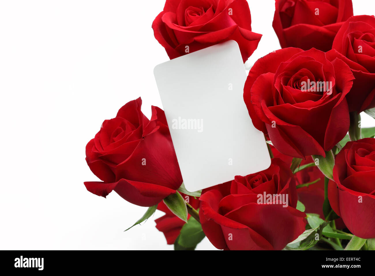 Bouquet de roses avec carte-cadeau blanc sur fond blanc Banque D'Images