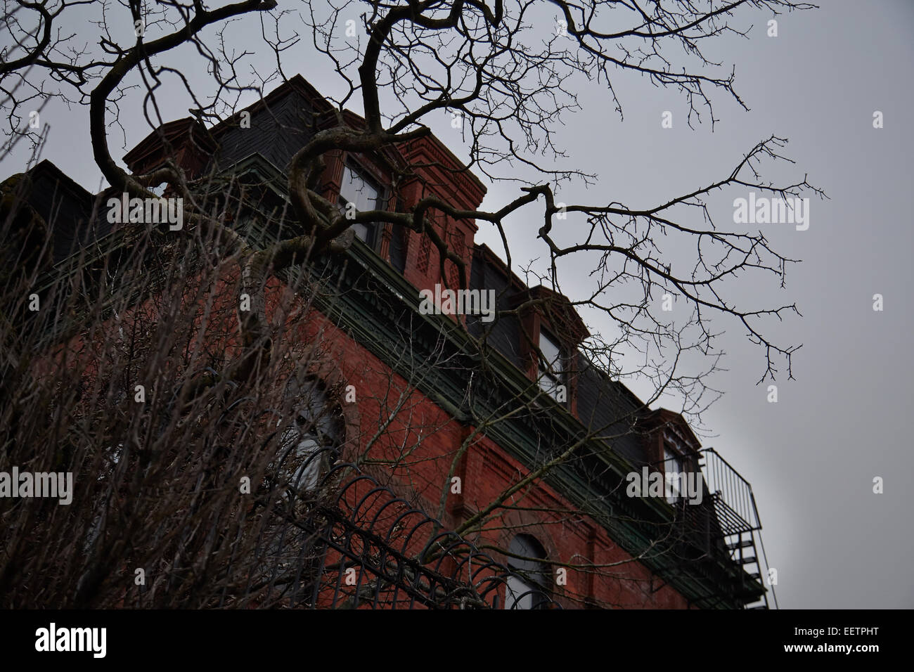 Maison victorienne avec arbre creepy Banque D'Images