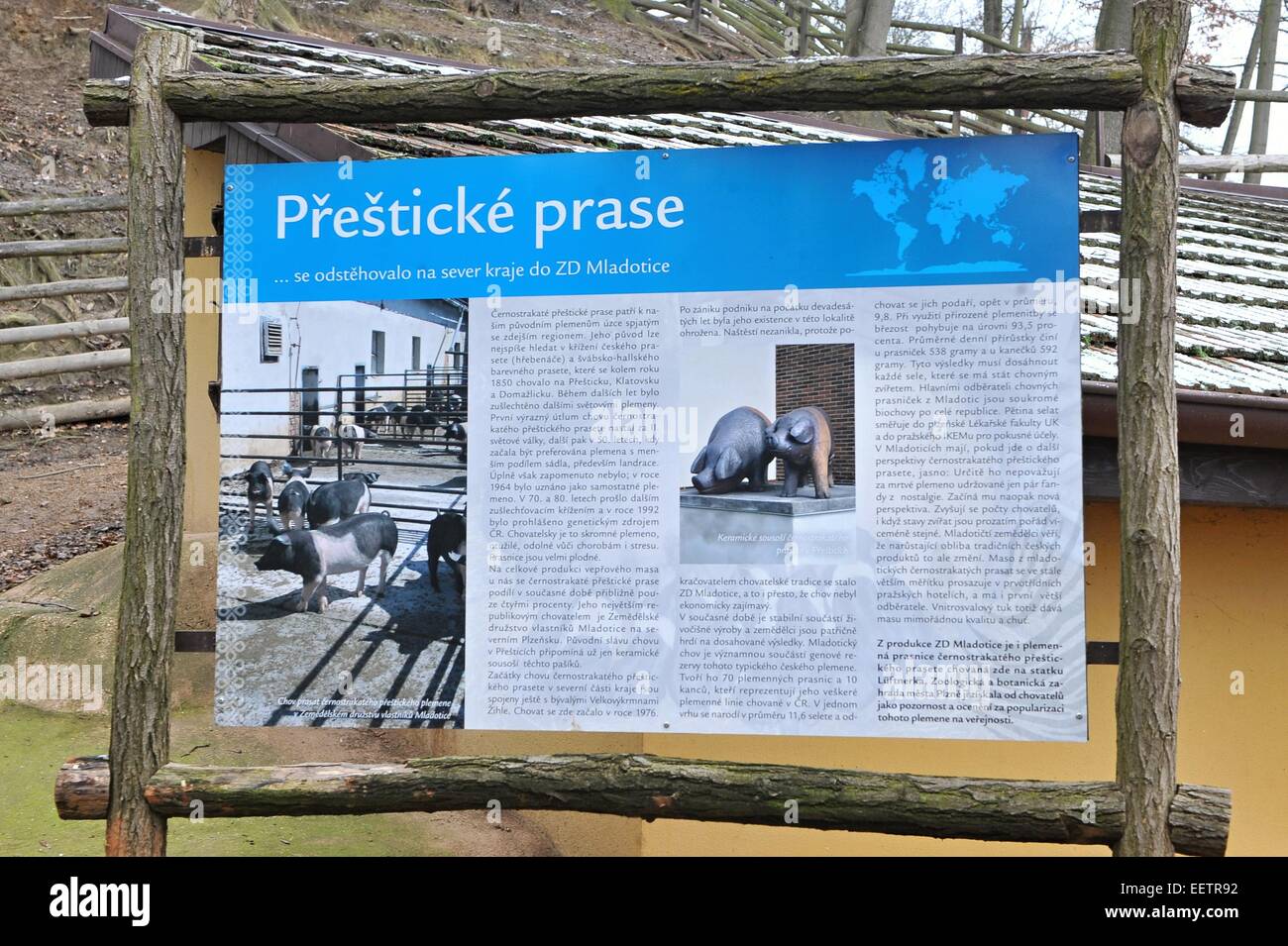 Pilsen, République tchèque. 21 Jan, 2015. Information Board dans Luftnerka Presticke montre ferme porc domestique de la région (Sus scrofa domesticus) au zoo de Plzeň, où sont nés huit porcelets il y a 2 mois. En République tchèque, le mercredi 21 janvier, 2015. Photo : CTK/Alamy Live News Banque D'Images