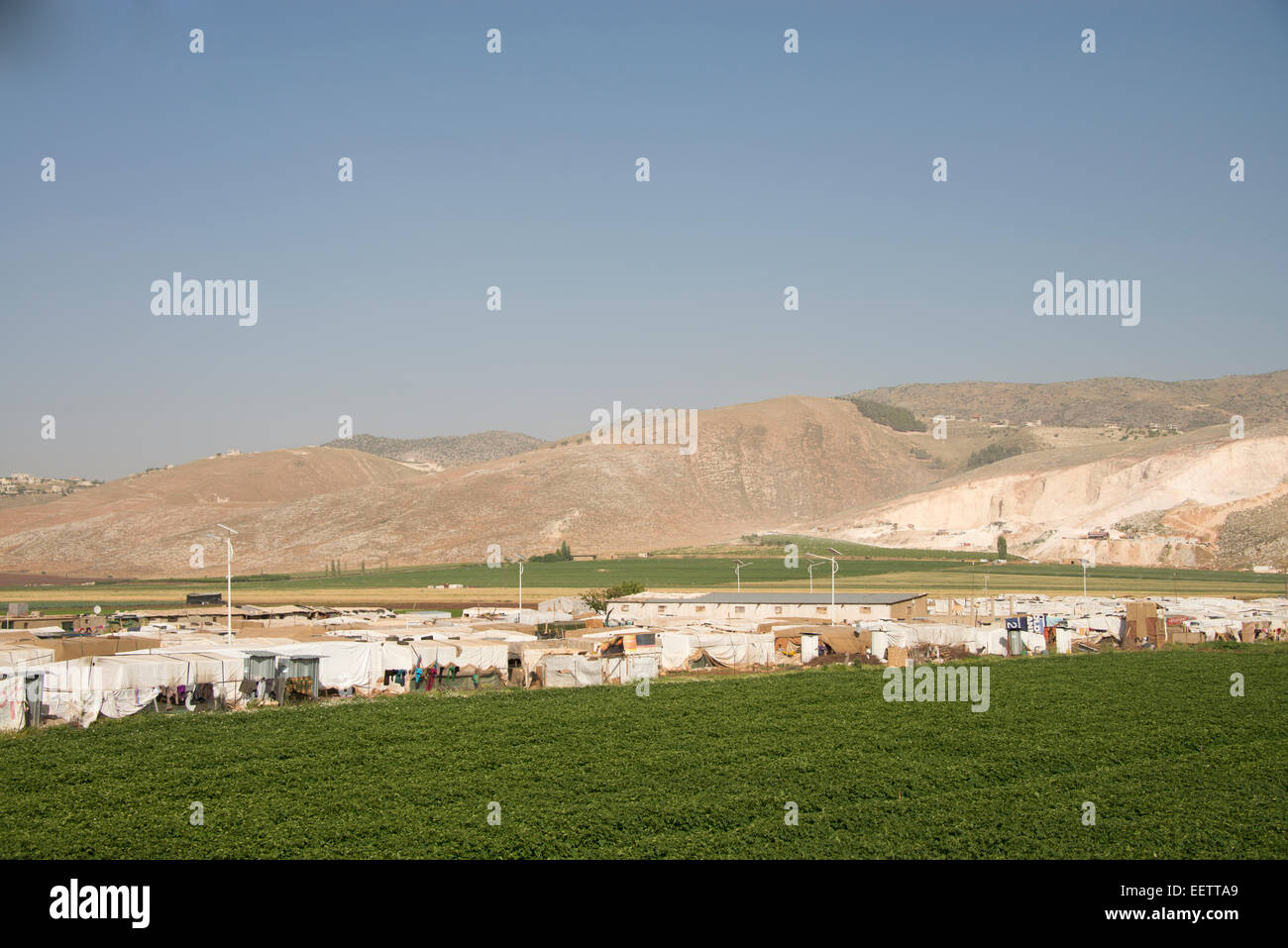 Tentes de réfugiés syriens, vallée de la Bekaa, au Liban Banque D'Images