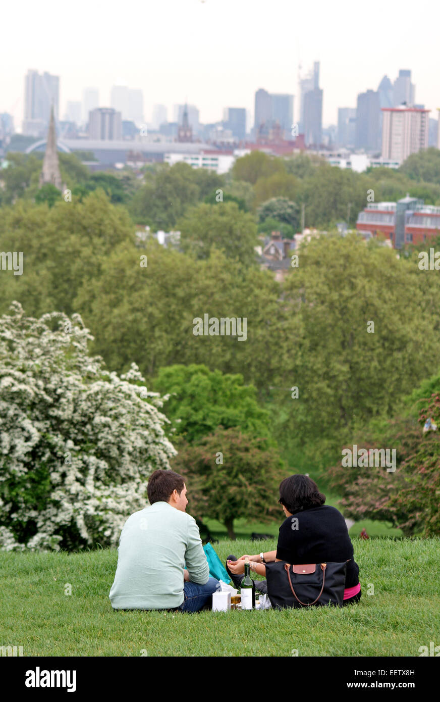La vue de Primrose Hill, à Londres, en Angleterre. Banque D'Images