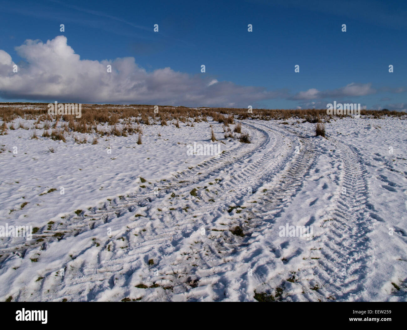 Les traces de pneus du tracteur dans la neige, Exmoor, Somerset, UK Banque D'Images