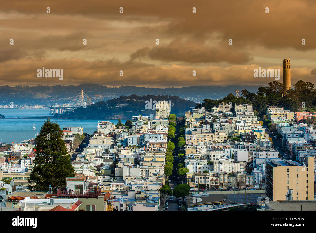 Vue de dessus plus Telegraph Hill et la Coit Tower, San Francisco, California, USA Banque D'Images