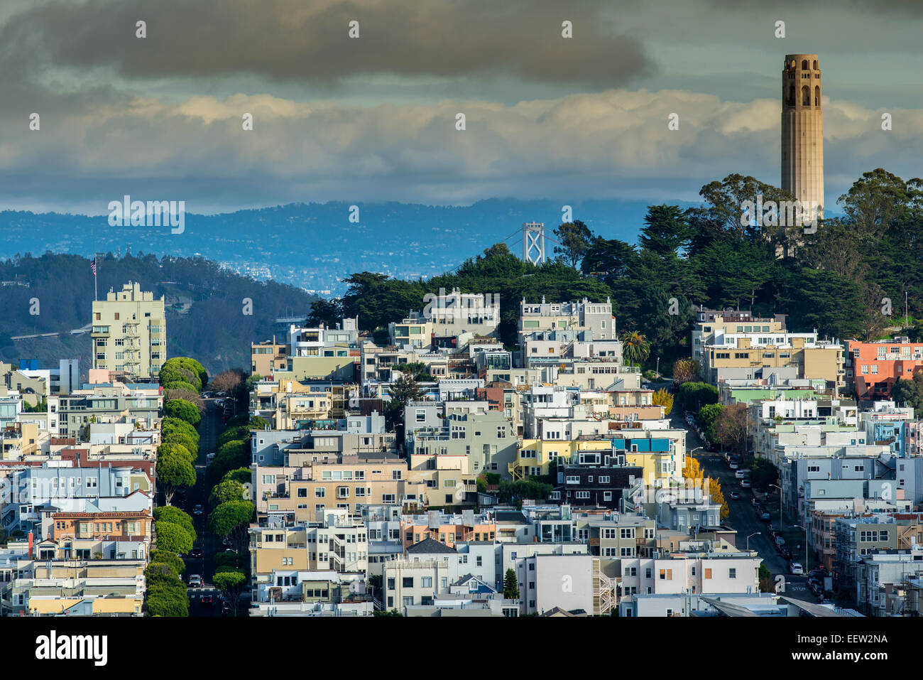 Vue de dessus plus Telegraph Hill et la Coit Tower, San Francisco, California, USA Banque D'Images
