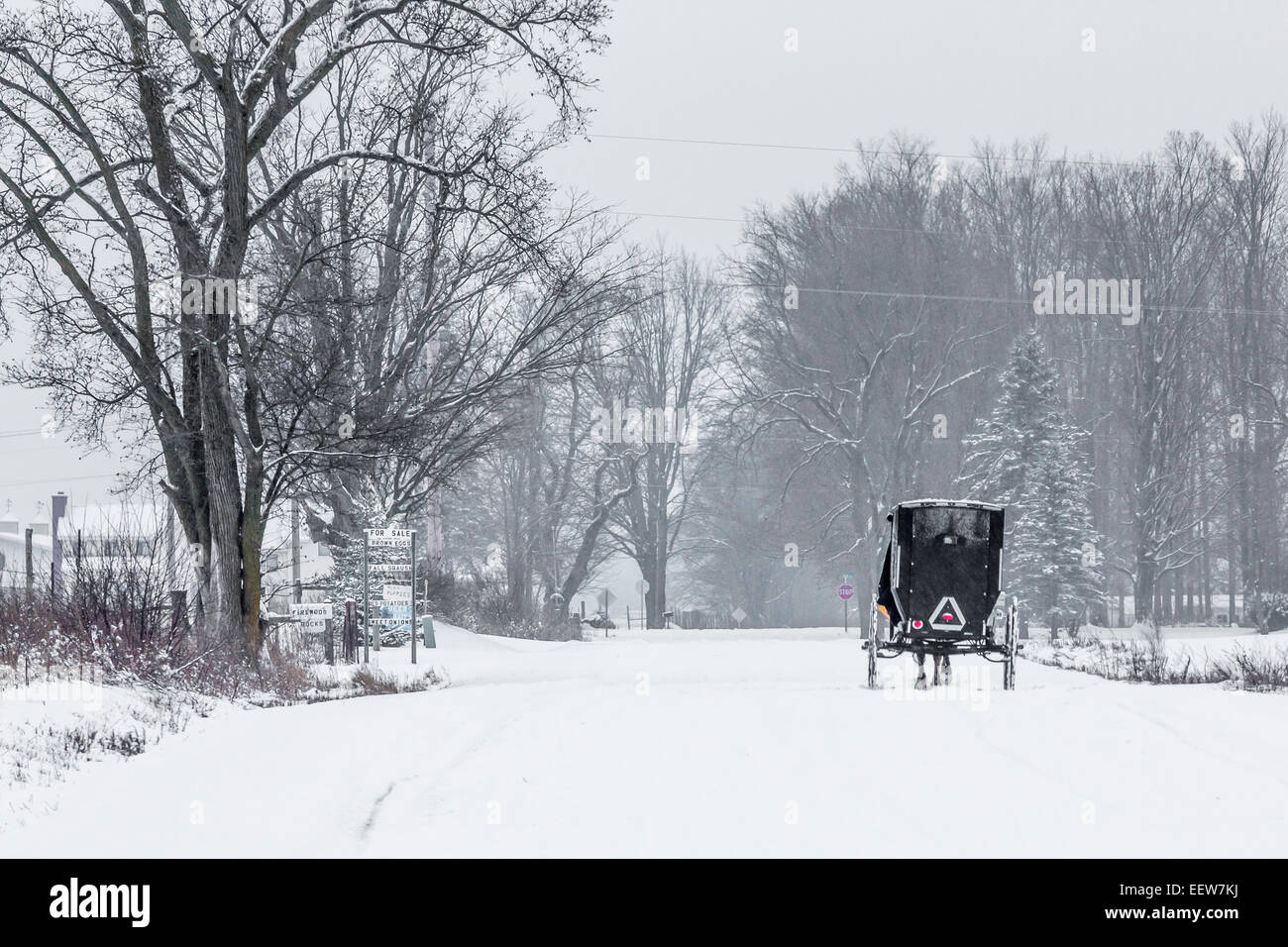 Buggy Amish sur une route couverte de neige dans Mecosta comté près de Grand Rapids et Stanwood, Michigan, USA Banque D'Images