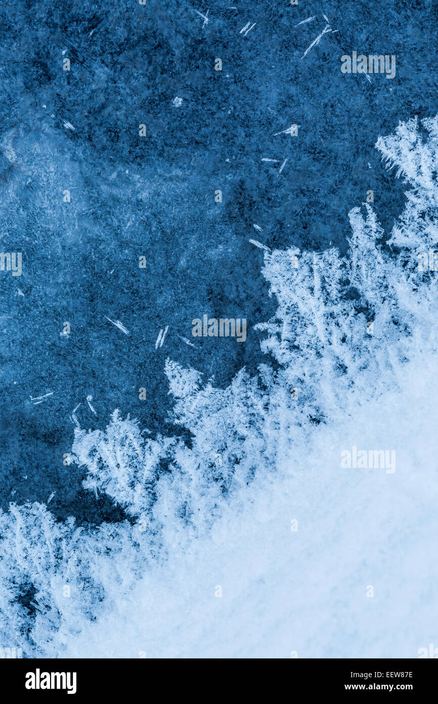 De plus en plus vers l'extérieur à partir de formations de givre sur banc de glace le long de cours d'eau Ruisseau Quigley, Central Michigan, USA Banque D'Images