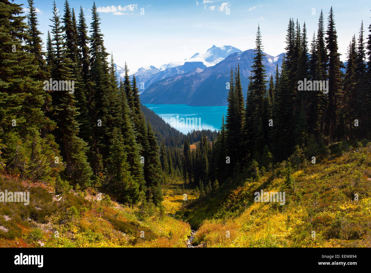 Garibaldi Lake, parc provincial Garibaldi, BC, Canada Banque D'Images