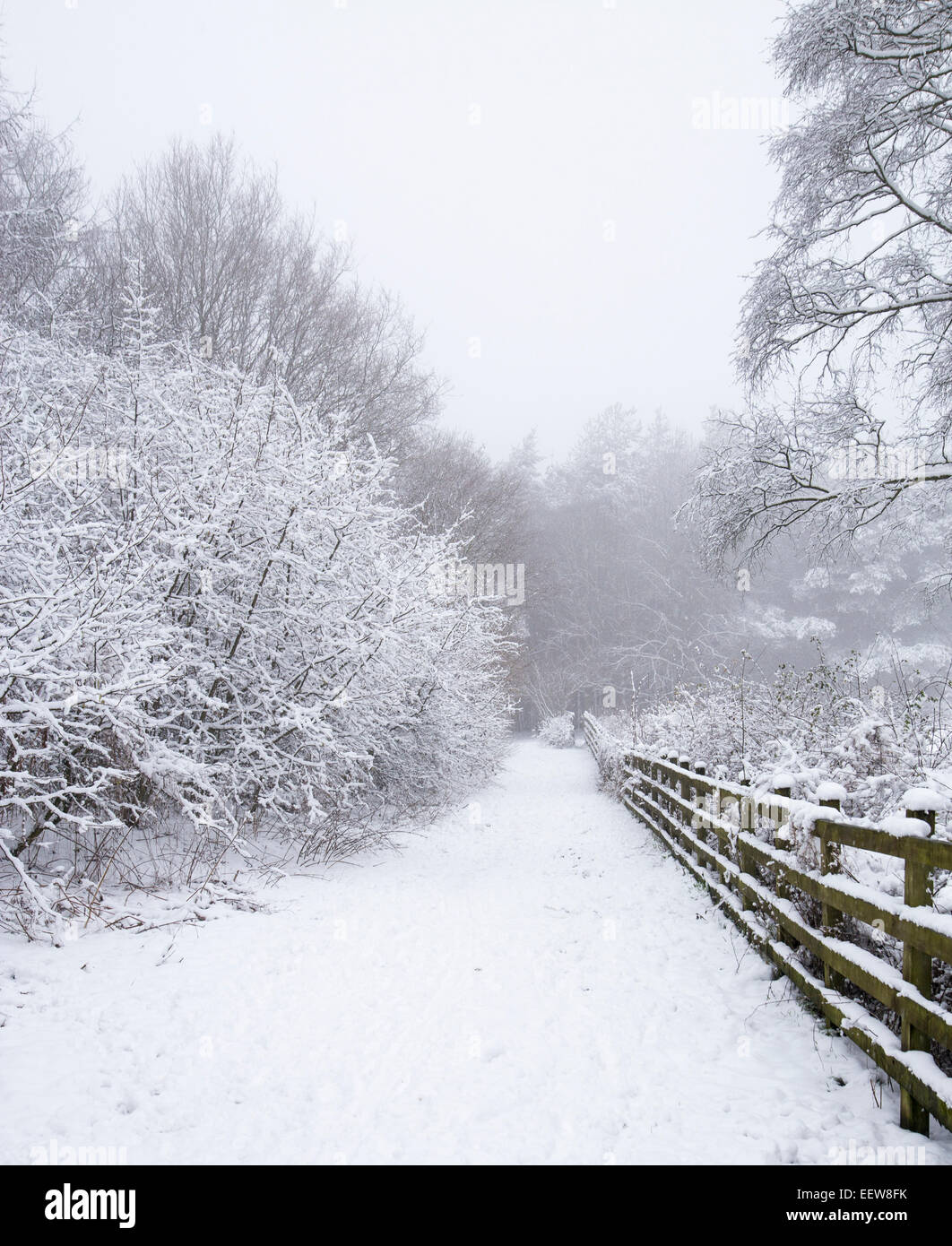 Hiver neige paysage couvert dans le Yorkshire. Banque D'Images