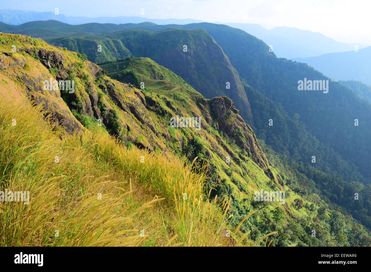 Western Ghats India paysage pittoresque des montagnes et des vallées à Idukki District de Kerala Banque D'Images