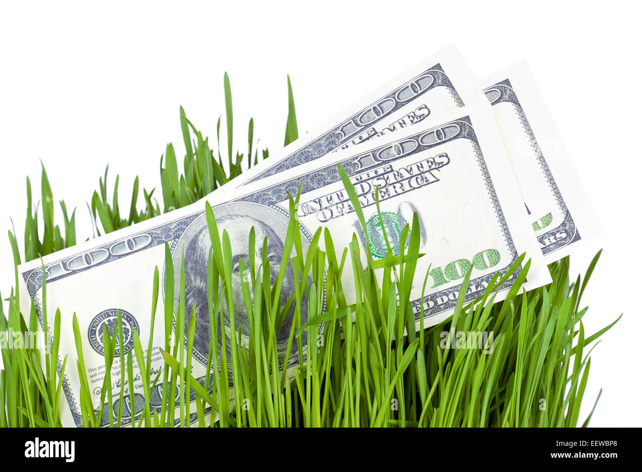 100 billets d'un dollar de plus en plus l'herbe verte, des finances concept Banque D'Images