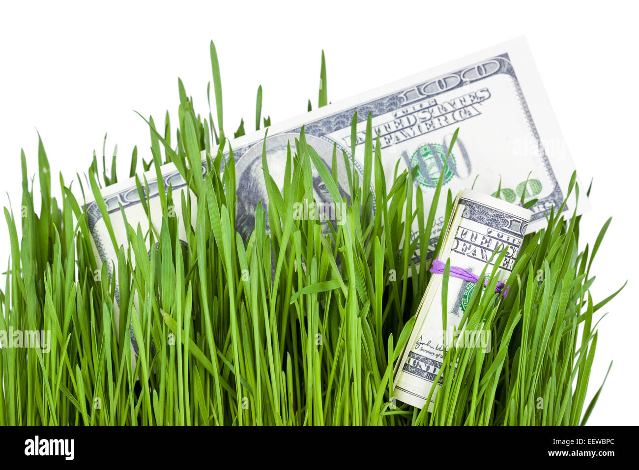 100 billets d'un dollar de plus en plus l'herbe verte, des finances concept Banque D'Images