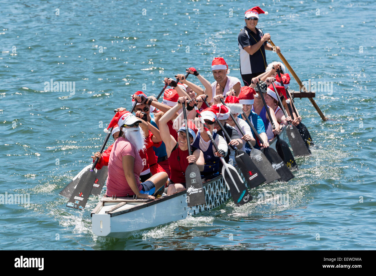 Les rameurs de bateau-dragon en fête costumes Père Noël si l'aviron anchorage dans Rozelle Bay, Port Jackson (aka le port de Sydney) Banque D'Images