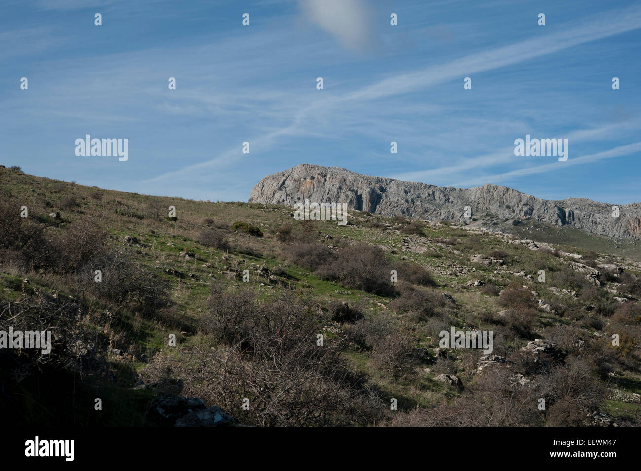Vue de la Sierra de Blanquilla près de Ronda, Province de Malaga, Andalousie, espagne. Banque D'Images