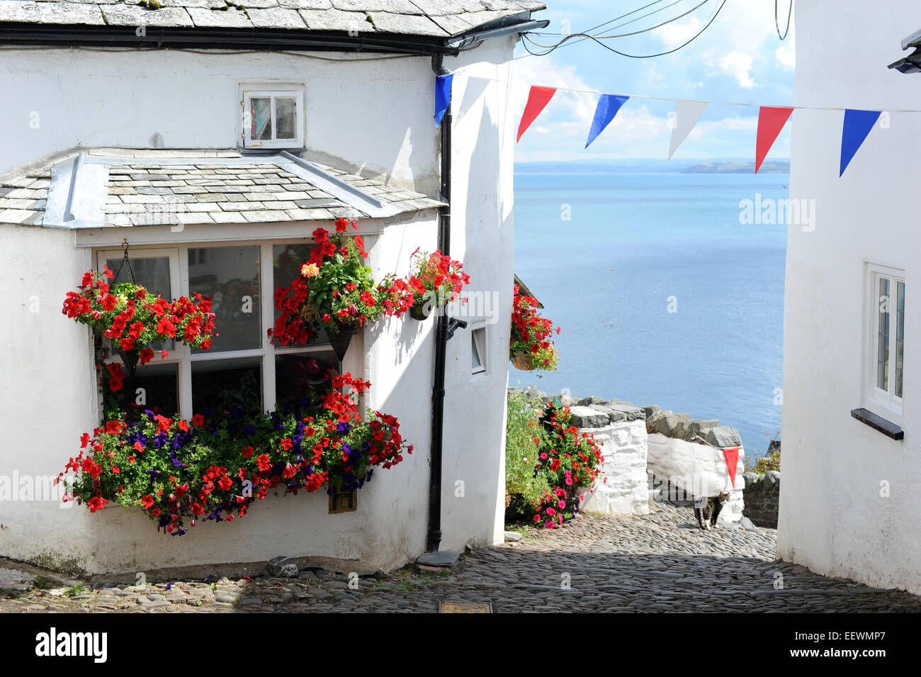 Un chat et une vue sur la mer à Clovelly Banque D'Images