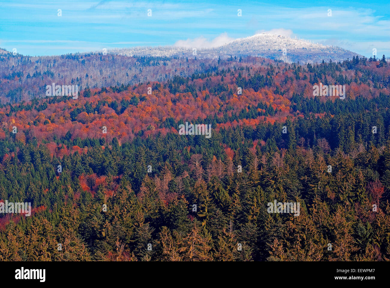 En automne, le Parc National de la Forêt bavaroise Bayerischer Wald, Bavière, Allemagne, en arrière-plan le Mont Lusen avec snow Banque D'Images
