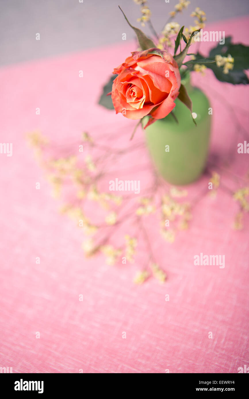 Gros plan d'une rose dans le vase Banque D'Images