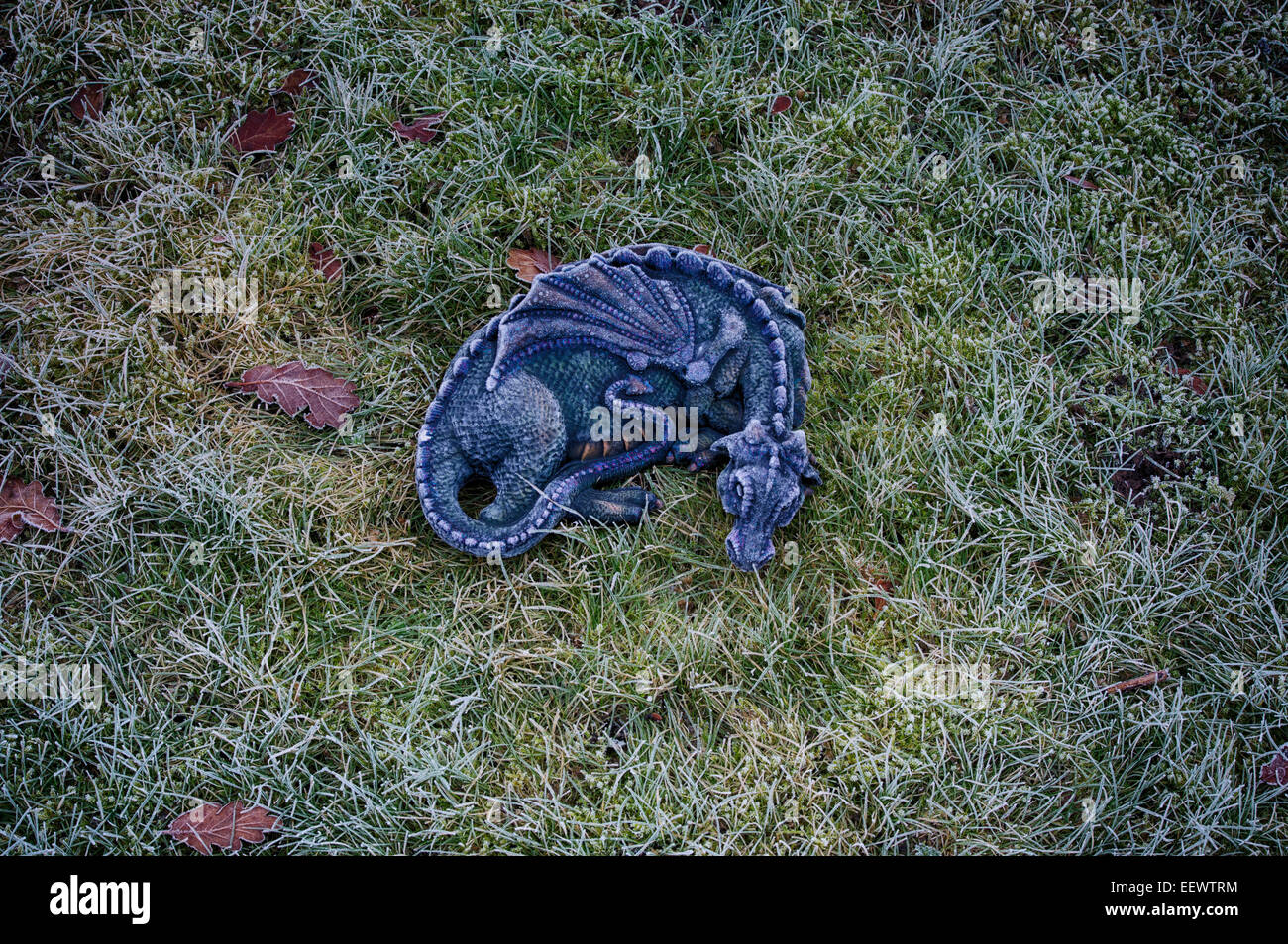 Sleeping Dragon glacial sur l'herbe Banque D'Images
