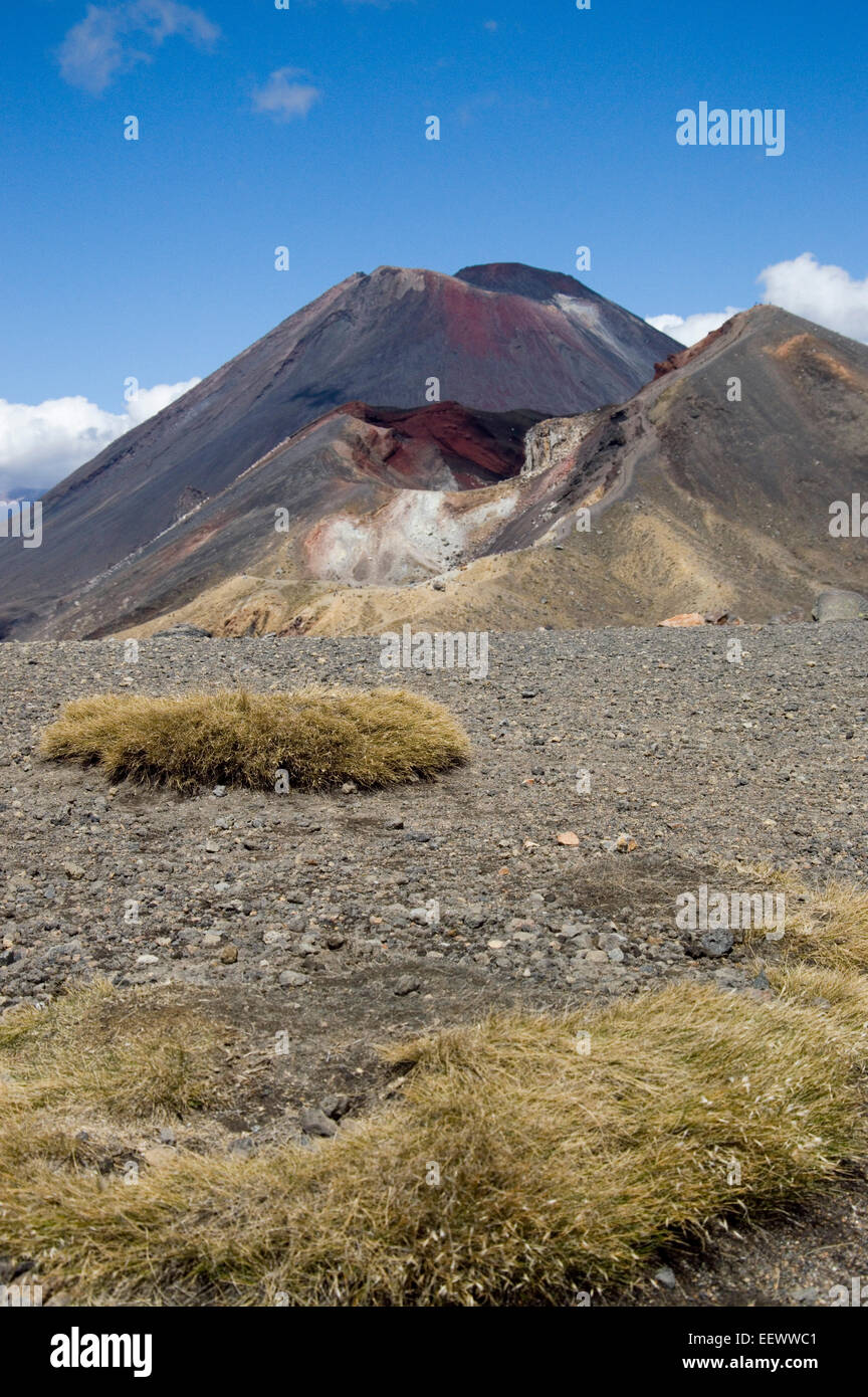 Cratère rouge, Tm, Nghauruhoe Tongariro, Nouvelle-Zélande Banque D'Images