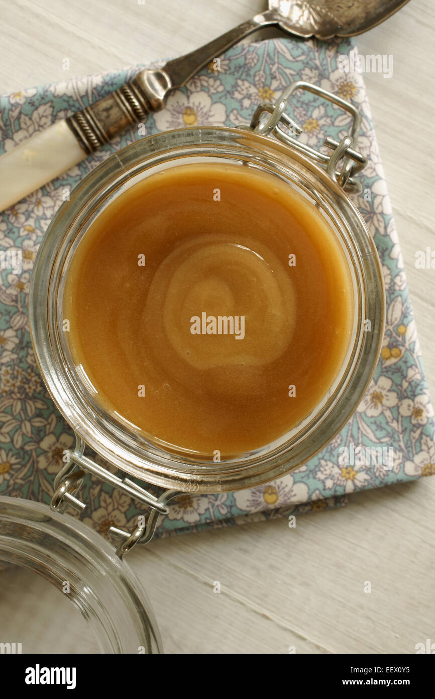 Manuka produit en Nouvelle-Zélande et en Australie à partir du nectar de l'arbre à thé ou de Manuka Banque D'Images