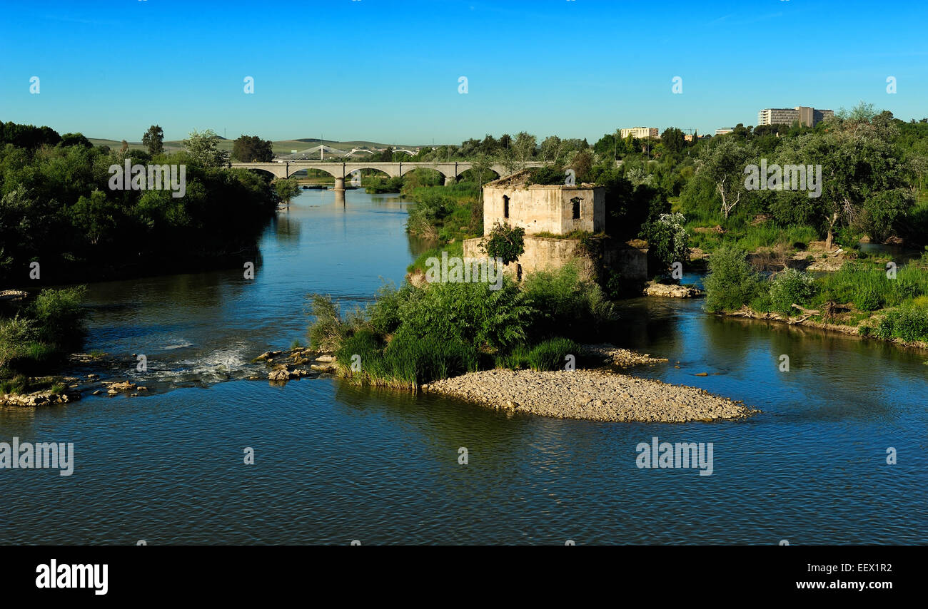 Vieille eau mil Enmedio sur Guadalquivir, Cordoue, Espagne Banque D'Images