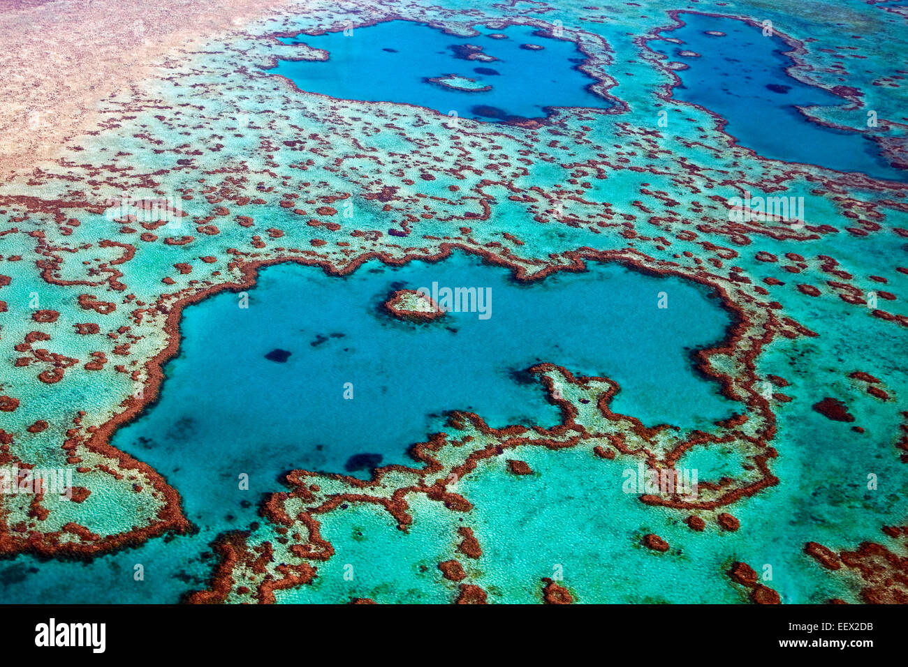 Vue aérienne de Cœur en cœur, récif de la Grande Barrière de corail de la mer de corail en Whitsundays, Queensland, Australie Banque D'Images