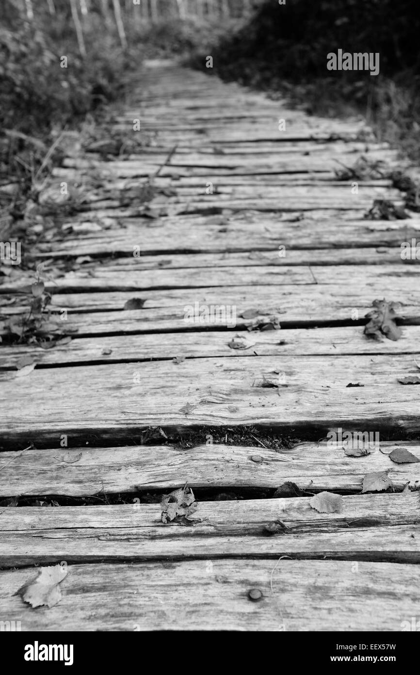 Conseil grossièrement taillé mène à une passerelle en bois, parsemé de feuilles mortes - profondeur de champ - monochrome Banque D'Images