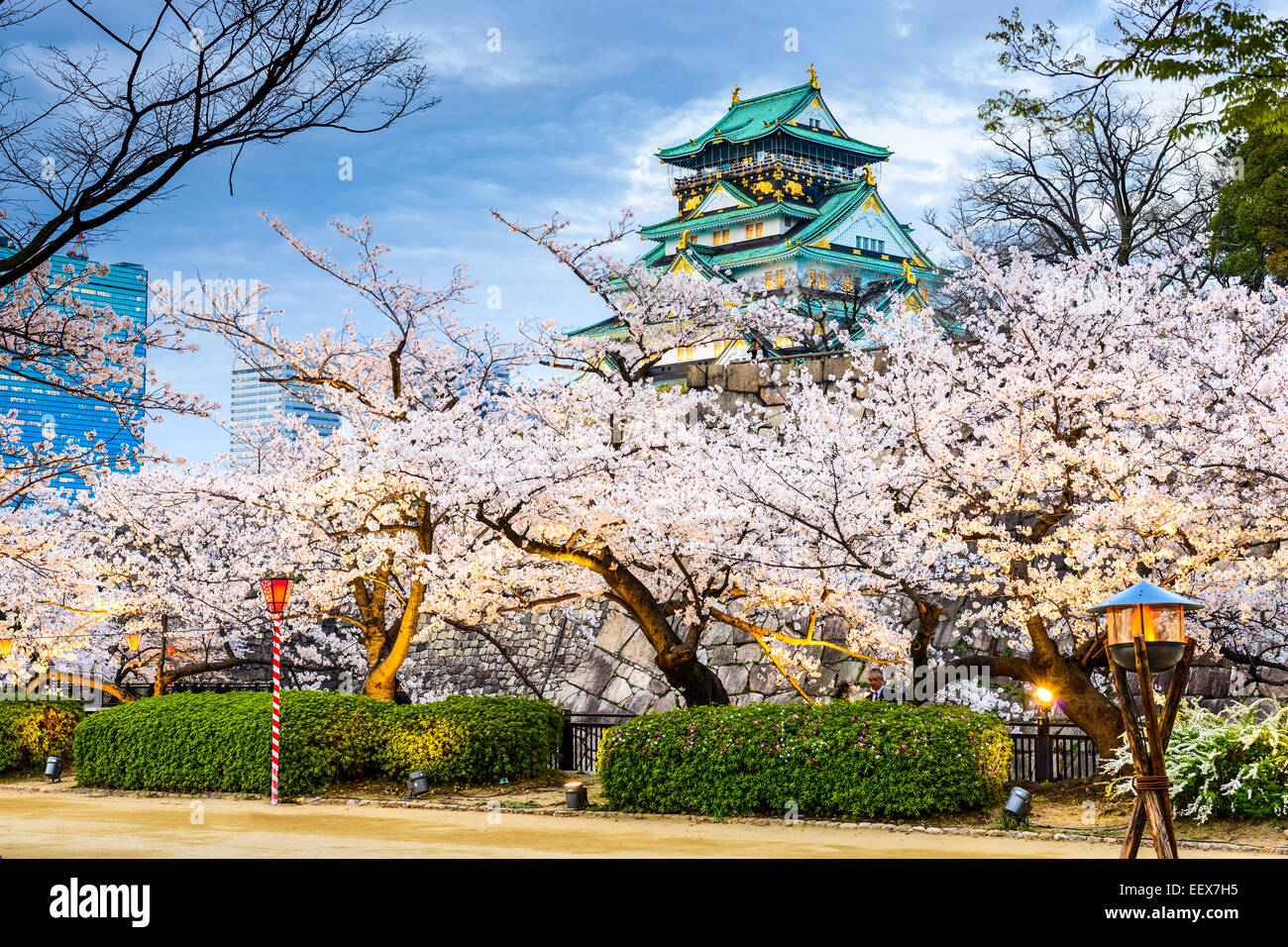 Osaka, Japon au château d'Osaka durant la saison de printemps. Banque D'Images