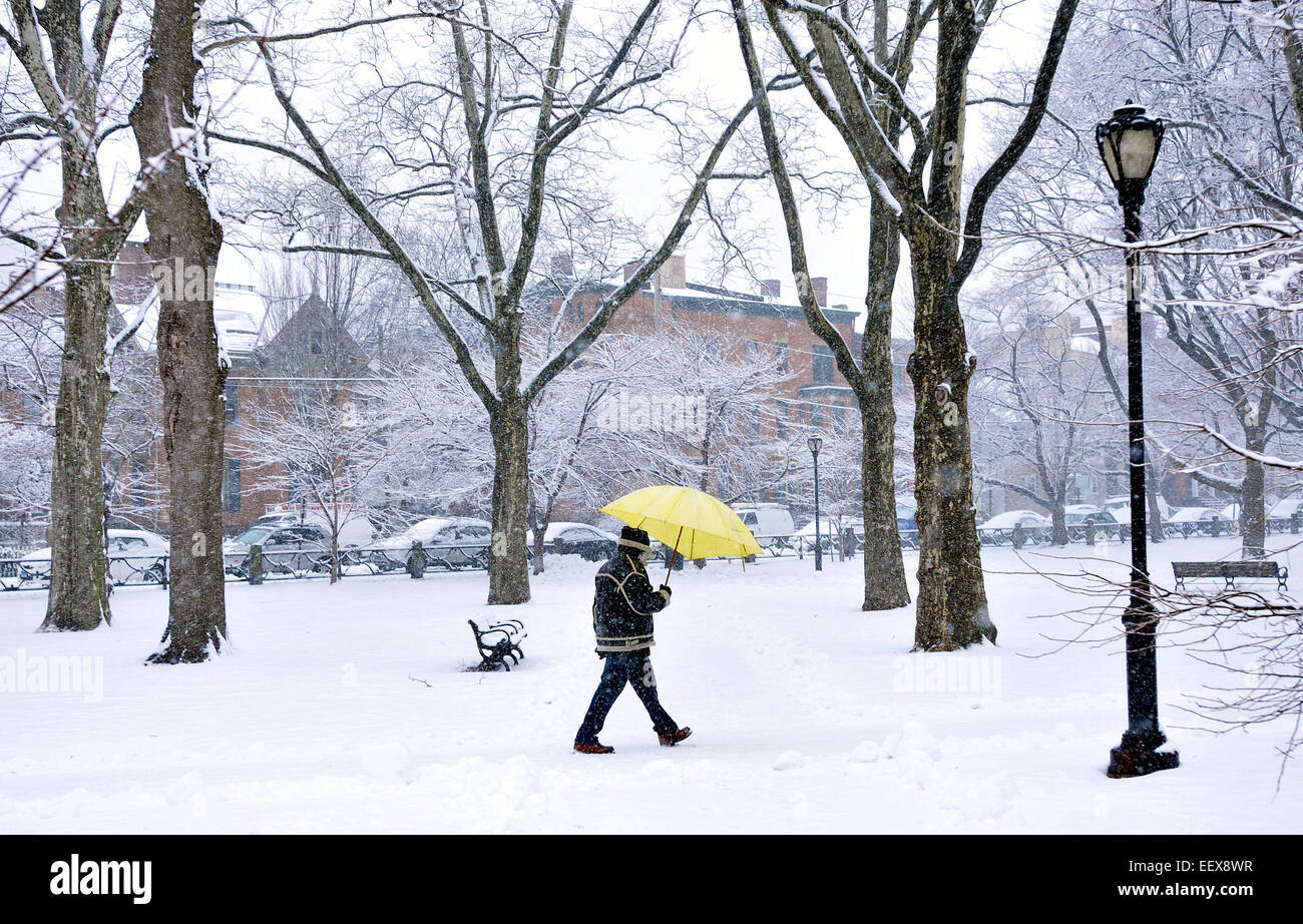 Un homme marche à travers Wooster Square Park à New Haven durant la tempête lundi. Banque D'Images