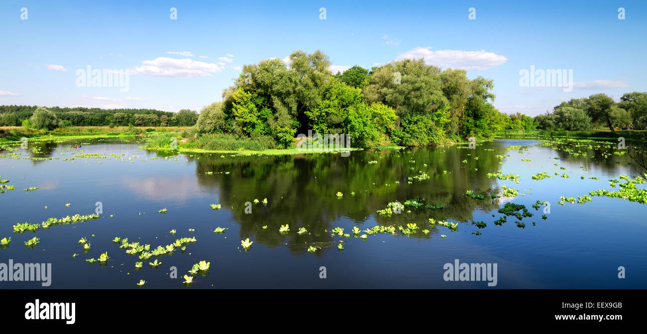 Petite île sur une belle rivière en été Banque D'Images