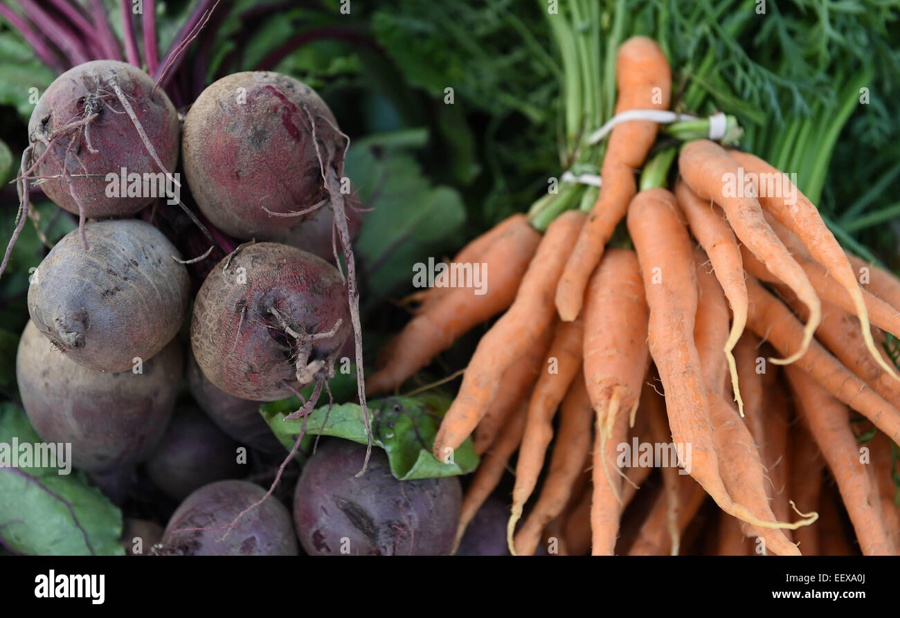 Les betteraves et carottes Farm Fresh produire à un marché d'agriculteurs dans CT USA Banque D'Images