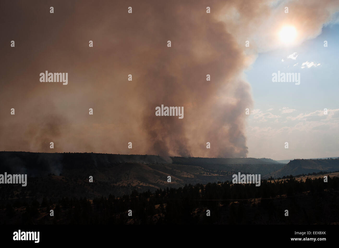 Les incendies de forêts dans l'Est de l'Oregon. Banque D'Images
