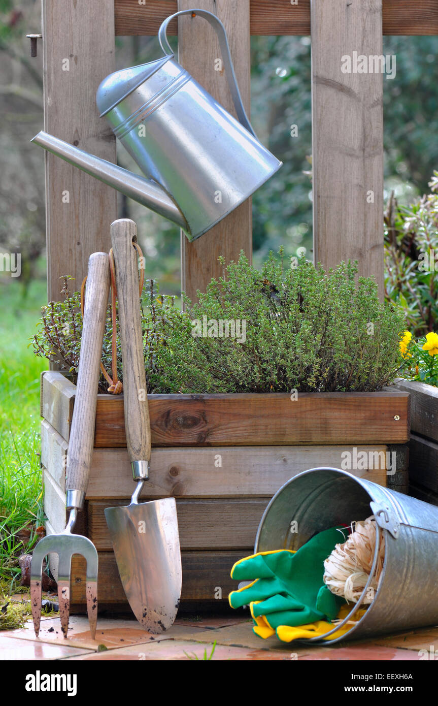 Outils de jardinage avec plante en pot en terrasse Banque D'Images