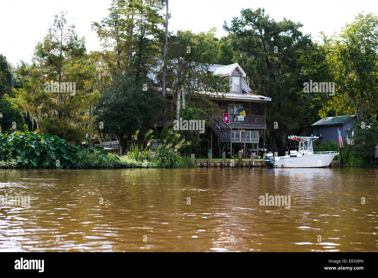 Marais de Louisiane , Terre , les zones humides du delta du fleuve Mississippi .. Banque D'Images