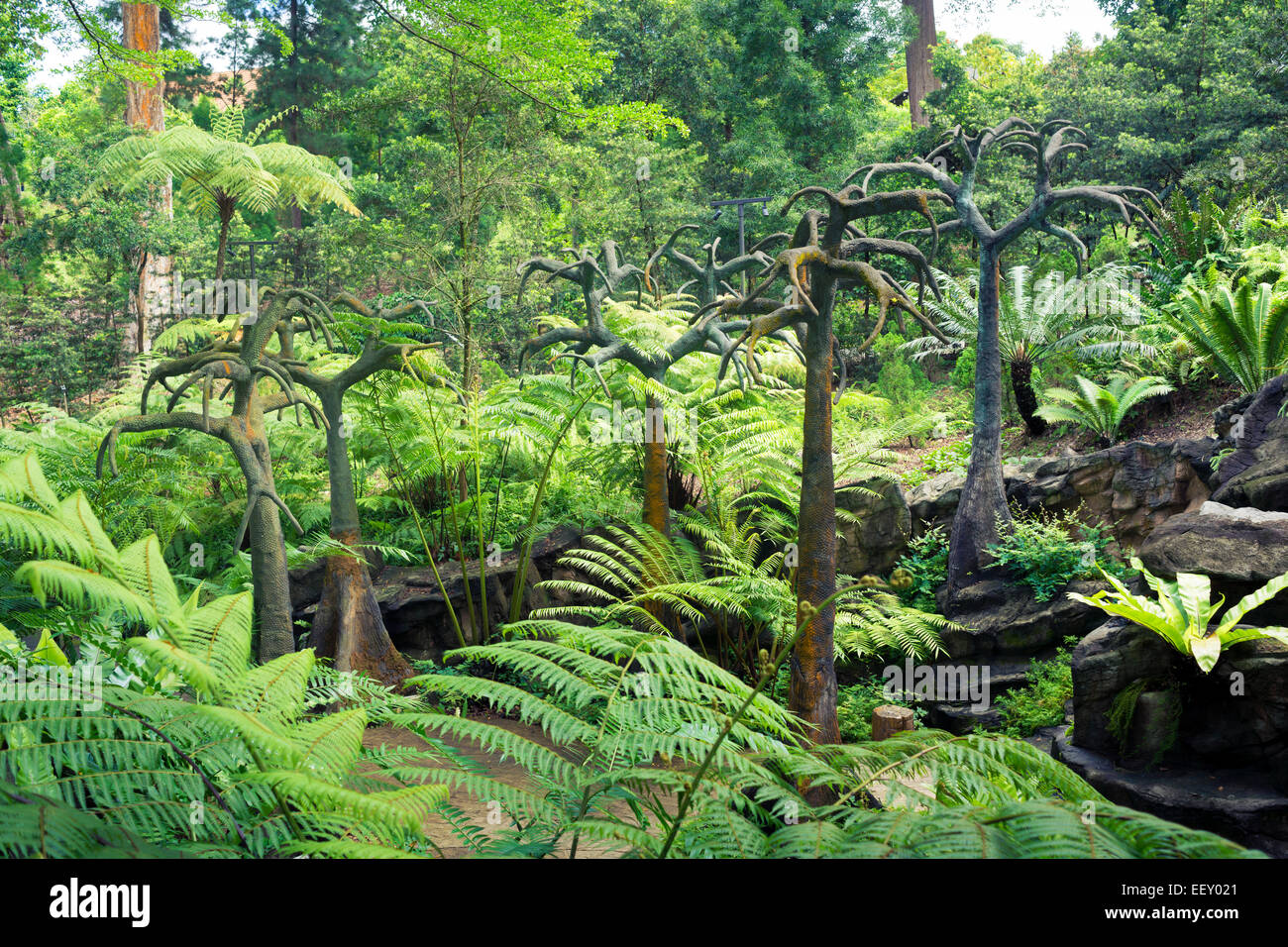 Paysage préhistorique en pierre d''arbres dans le jardin Botanique de Singapour Banque D'Images
