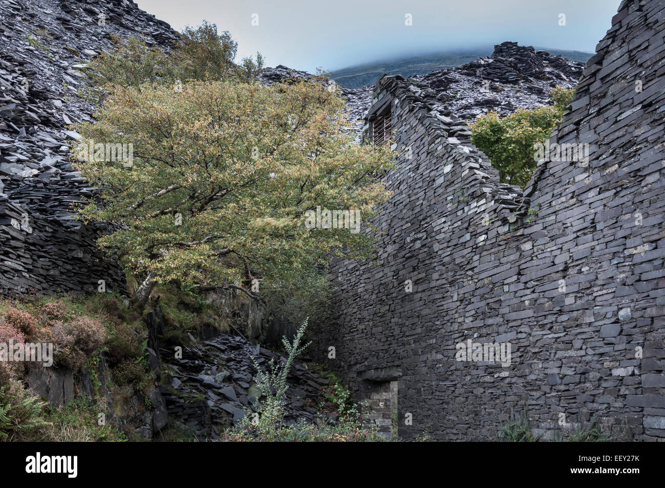 Ruines abandonnées à Dinorwig quarry à Llanberis, au nord du Pays de Galles. Banque D'Images