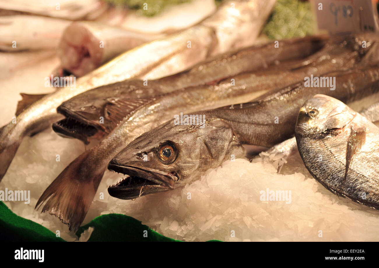 Barcelone, Espagne. 8 janvier, 2015. Le poisson frais est sur l'affichage à l'Bouquereira Josep La halle sur la Ra La Rambla de Barcelone, Espagne, le 8 janvier 2015. Photo : Stefan Udry/DPA - PAS DE FIL - SERVICE/dpa/Alamy Live News Banque D'Images