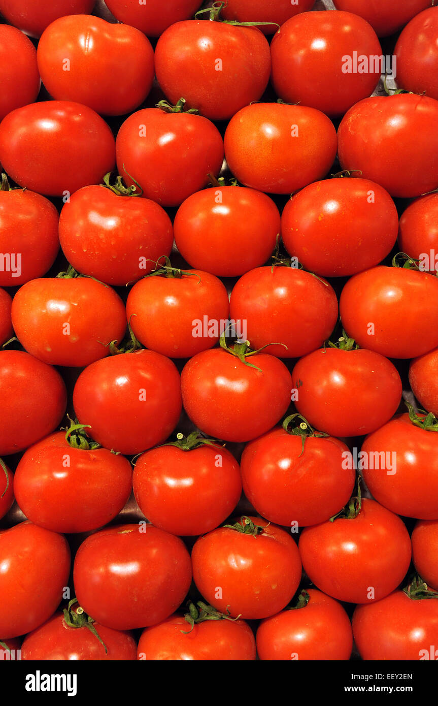 Barcelone, Espagne. 8 janvier, 2015. Les tomates fraîches sont sur l'affichage à l'Bouquereira Josep La halle sur la Ra La Rambla de Barcelone, Espagne, le 8 janvier 2015. Photo : Stefan Udry/DPA - PAS DE FIL - SERVICE/dpa/Alamy Live News Banque D'Images