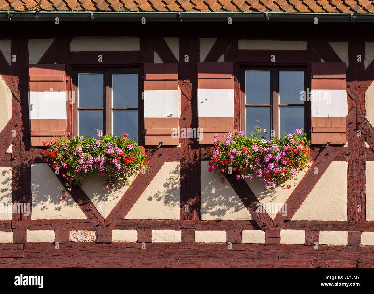 Des fleurs sur la jonction de windows sur le Château de Kaiserburg à Nuremberg, Allemagne Banque D'Images