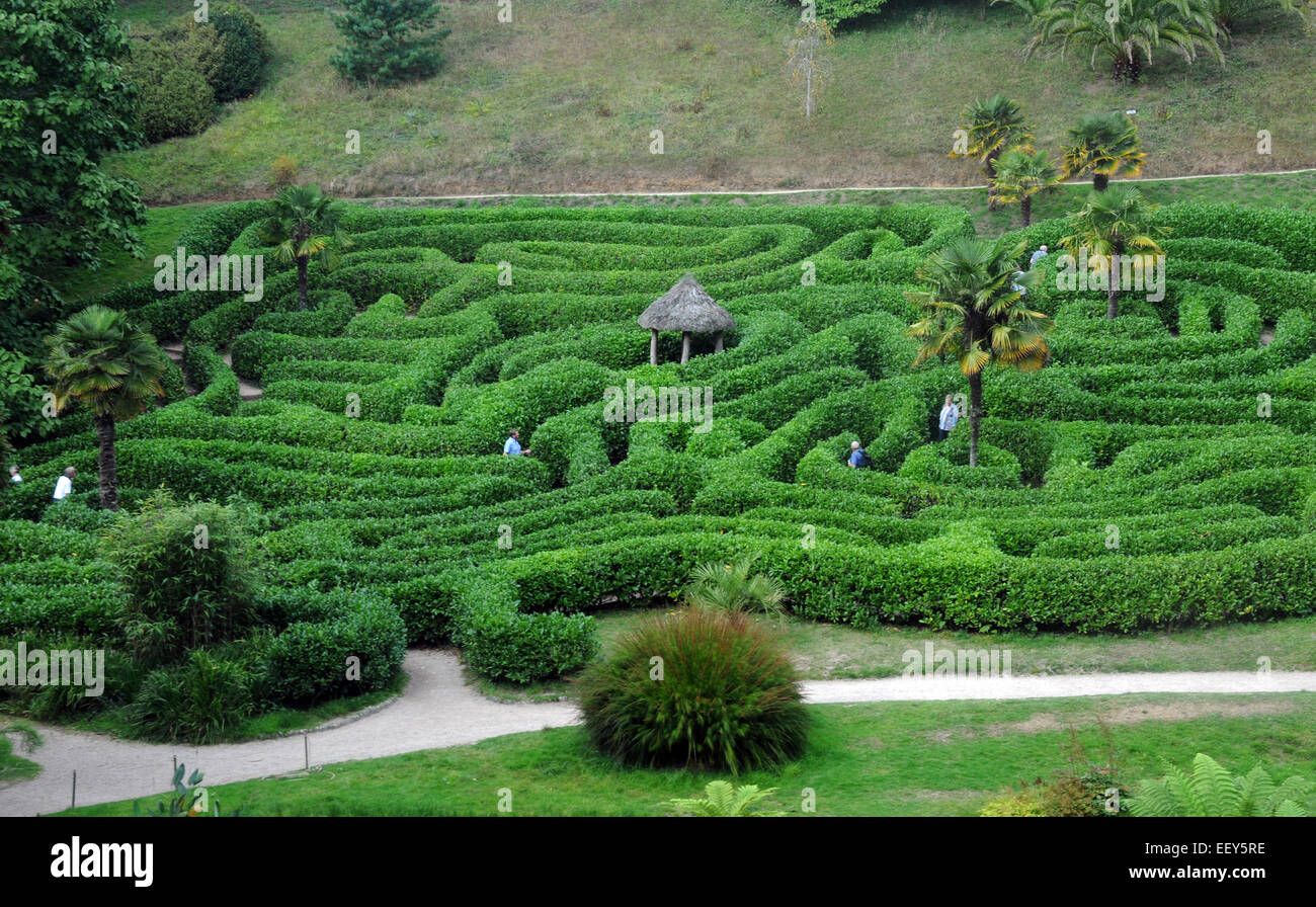 Septembre 2014 Le labyrinthe à l'du National Trust Gardens près de Glendurgan , Falmouth Cornwall. Pic Mike Walker, Mike Walker P Banque D'Images