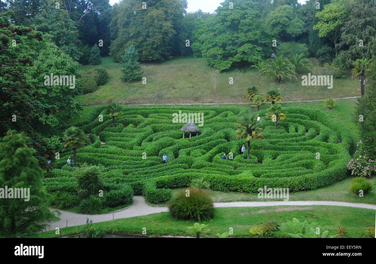 Septembre 2014 Le labyrinthe à l'du National Trust Gardens près de Glendurgan , Falmouth Cornwall. Pic Mike Walker, Mike Walker P Banque D'Images
