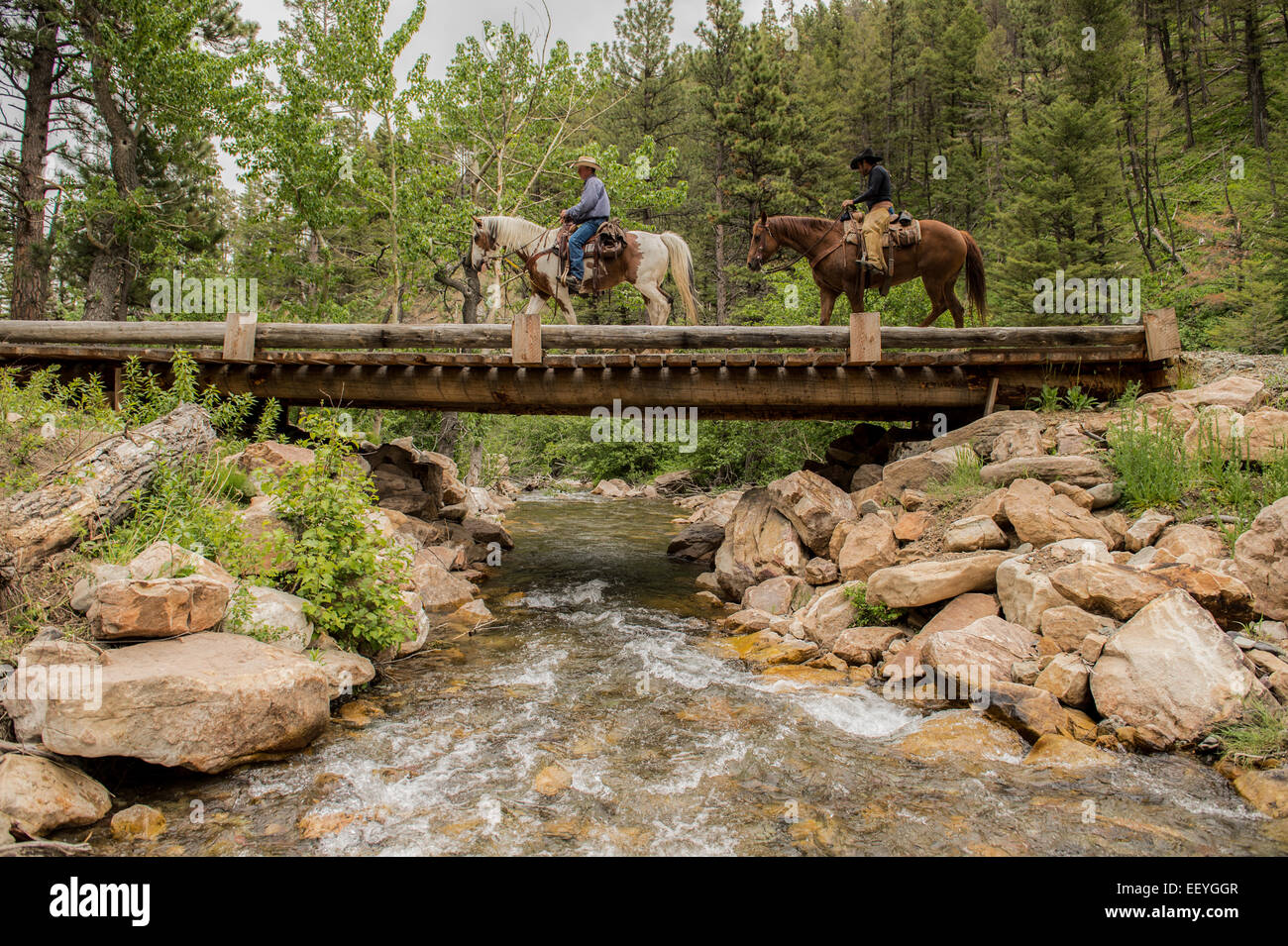 Joe Scanlon sur cheval brun et son ami Joe Krutsch aller faire un tour au Ranch Blacktail dans Wolf Creek, Montana. Le ranch est situé à la base de la ligne continentale de partage et c'est l'histoire remonte à la fin des années 1880, lorsque la propriété a été étendait par pioneer Gustav Rittel. (Photo par Ami Vitale) Banque D'Images