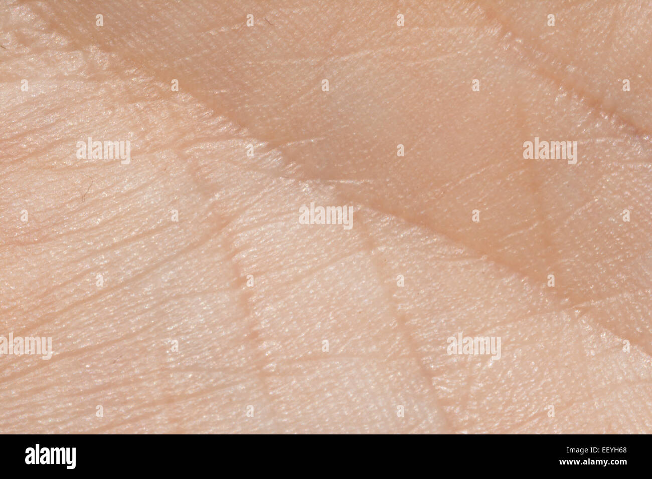 La texture de la peau humaine closeup détail Banque D'Images