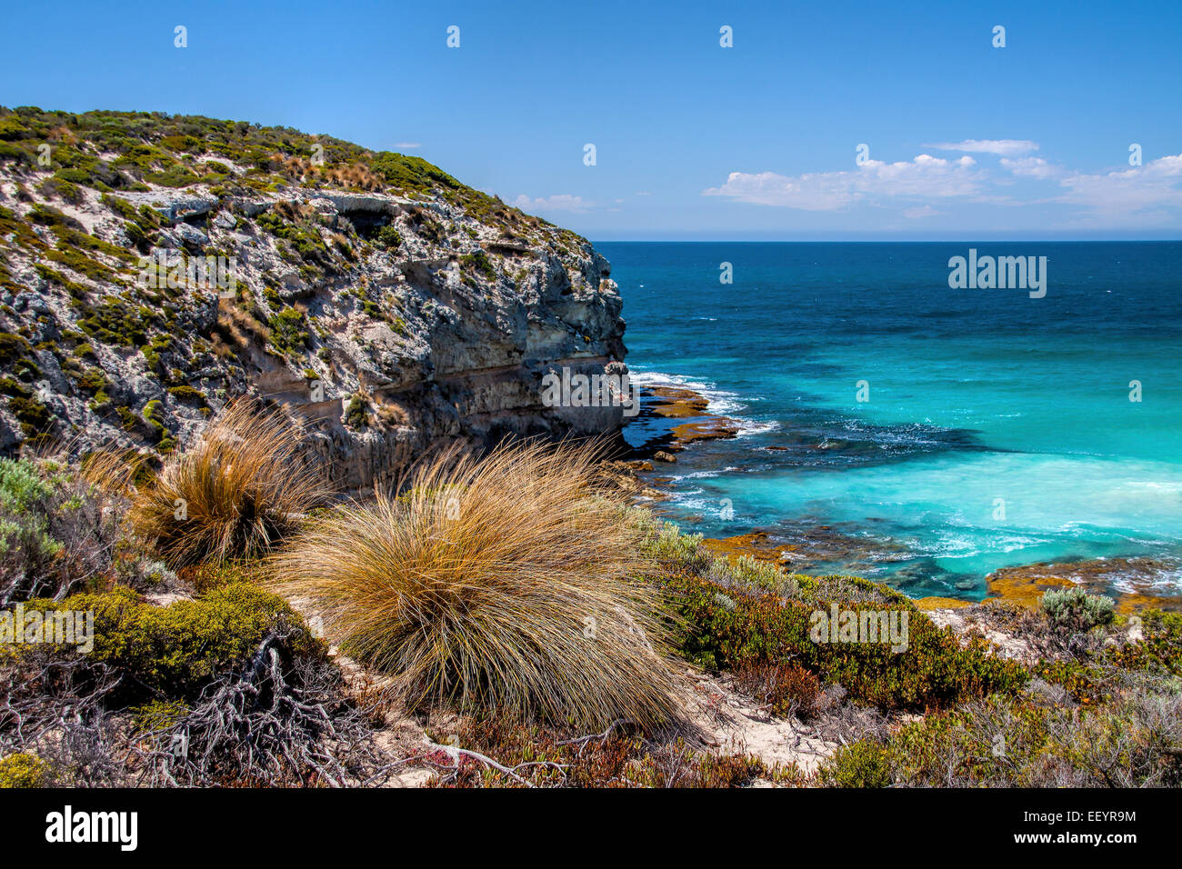 Pennington Bay Kangaroo Island Banque D'Images