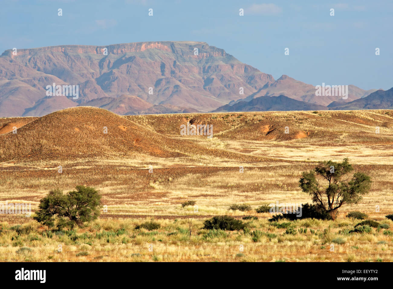 Paysage désertique, Namib-Naukluft National Park, Namibie, Afrique du Sud Banque D'Images