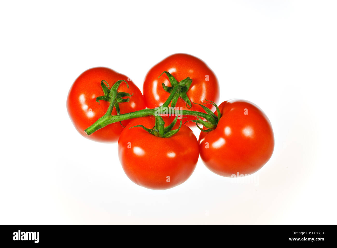 Quatre tomates Banque D'Images